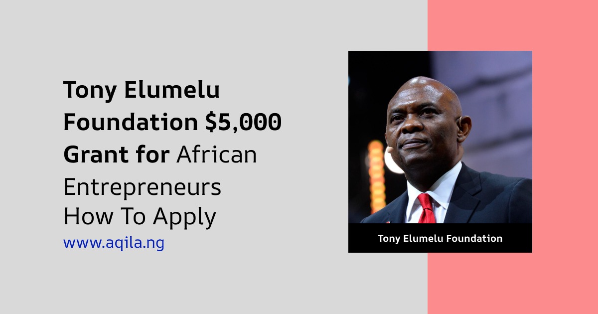 2025 Tony Elumelu Foundation Grant for African Entrepreneurs